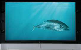 Rear Projection TV's