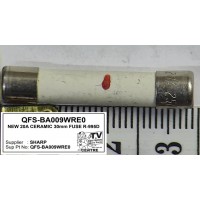 QFS-BA009WRE0 20A CERAMIC 30mm FUSE R-995D QFS-BA009WRE0 20A CERAMIC 30mm FUSE R-995D